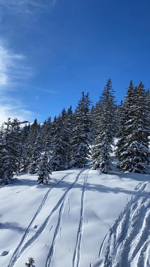Alpinresort Kaprun 1 Εξωτερικό φωτογραφία